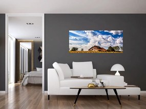 Tablou cu câmp de floarea soarelui (120x50 cm)