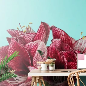 Fototapet autoadeziv amaryllis exotic pe fundal turcoaz