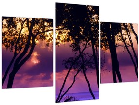 Tablou - Copaci la apus de soare (90x60 cm)