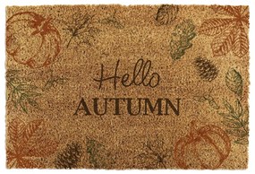 Covoraș de intrare din fibre de nucă de cocos 40x60 cm Hello Autumn – Artsy Doormats