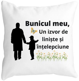 Perna Decorativa pentru Bunicul 6, 40x40 cm, Alba, Mata, Husa Detasabila, Burduf