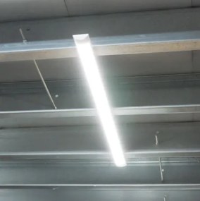 Set 4 Buc Corp de iluminat neon Led 120W 120 CM