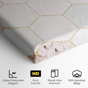 Tablou Canvas, 40x80cm, Dormitor si Living, Abstracte, Geometrice, Grey Pink Hexagon