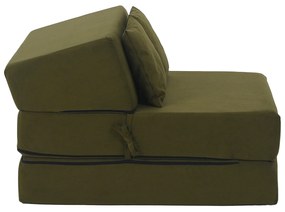 Fotoliu extensibil Plantearan (măslin) . 1116443