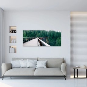 Tablou - Pod spre vârfurile copacilor (120x50 cm)