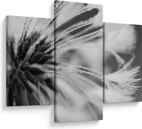 Tablou - Macro,alb-negru (90x60 cm)