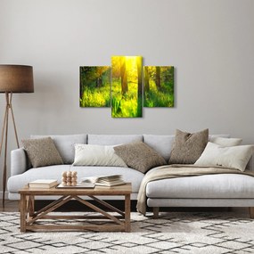 Tablou - Trezirea de primăvară a pădurii (90x60 cm)