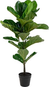 Copac cu frunze Felinora 1 (verde). Promo -11%. 1147556