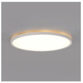Plafonieră LED pentru baie NIVERA LED/12W/230V IP54 d. 22,5 cm alb