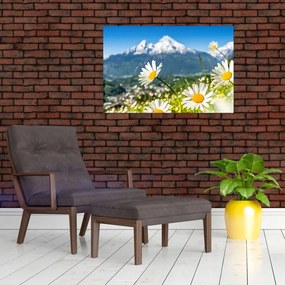 Tablou - Primăvara în Alpi (90x60 cm)