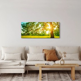 Tablou - Pădurea însorită (120x50 cm)