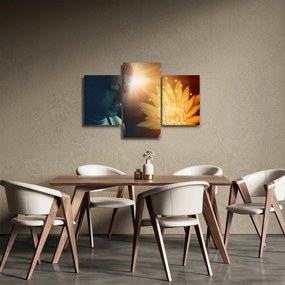 Tablou - Pace (90x60 cm)