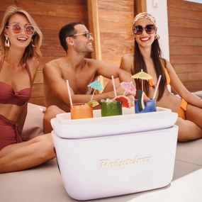 Geanta frigorifica Polarbox Pop, 12 litri, Polistiren AIRPOP, 5-15°C pana la 24 h, Violet/Portocaliu