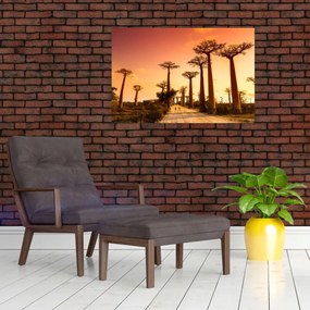 Tablou - Apus de soare pe Aleea Baobabilor (90x60 cm)