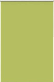 vidaXL Jaluzea cu role opace 160x210 cm lățime material 156,6 cm