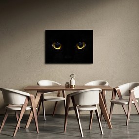 Tablou pe sticlă - Ochi de pisică (70x50 cm)