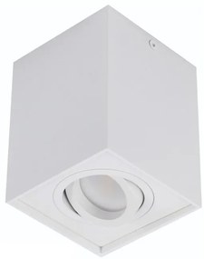 Spot directionabil aplicat tavan/plafon stil modern ELOY 1 White