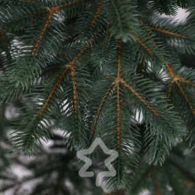 Brad Siberian 100 % 150 cm