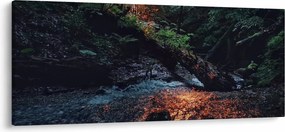Tablou cu râu montan (120x50 cm)