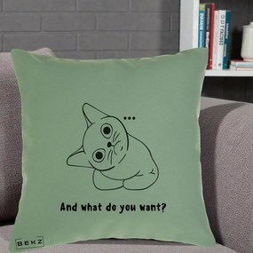 Perna Decorativa And What Do You Want Cat, 40x40 cm, Verde, Husa Detasabila, Perna Inclusa, BEKZ®