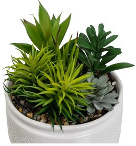 Plante artificiale 2 buc. (înălțime 19 cm) Cactus – Casa Selección