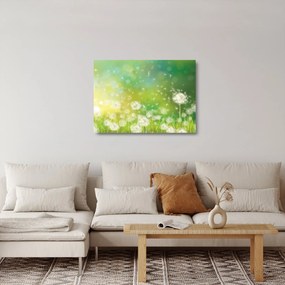 Tablou pe sticlă - Păpădie înflorită (70x50 cm)