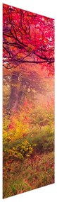 Fotojaluzele R012510R57150 (57x150 cm)