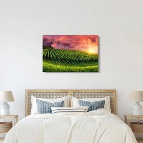 Tablou cu vie cu cerul color (90x60 cm)