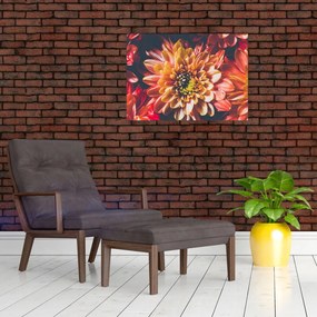 Tablou - Crizantemă (70x50 cm)