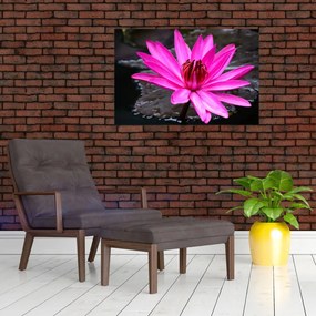 Tablou - floarea roz (90x60 cm)