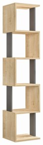 Raft Piri - Sonoma Oak, Anthracite