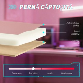 Vinsetto Scaun Gaming Ergonomic cu Urechi de Pisică, Fotoliu Gaming Birou Reclinabil din Piele Eco cu Suport pentru Picioare, Tetieră și Înălțime Reglabilă, Suport Lombar și Cervical, Roz | Aosom Romania