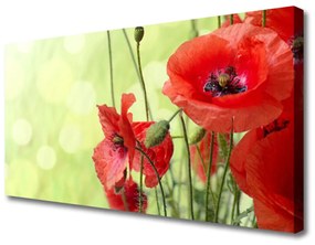 Tablou pe panza canvas Maci Floral Verde Roșu