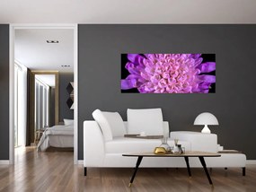 Tablou detailat cu floare (120x50 cm)