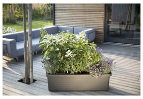 Jardinieră cu auto-irigare Plastia Berberis TRIO ,antracit