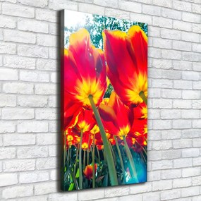 Imprimare tablou canvas Lalele rosii
