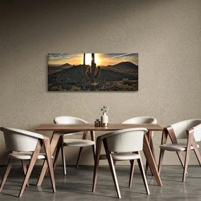 Tablou - cactușii la soare (120x50 cm)