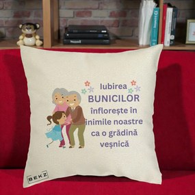 Cadou pentru Bunici - Perna Personalizata Bunicii Iubirea Infloreste Bunici cu Nepoata Colorat, 40x40 cm, Ecru, Husa Detasabila, Perna Inclusa, BEKZ®