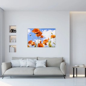 Tablou cu macii (90x60 cm)