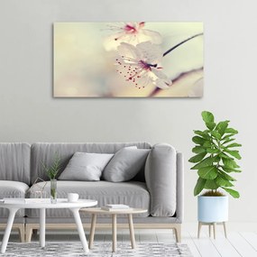 Tablou pe pânză Floare de cires