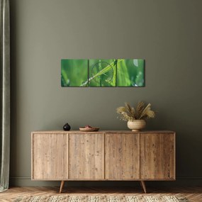 Tablou cu picături de rouă (cu ceas) (90x30 cm)