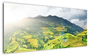 Tablou plantație (120x50 cm)