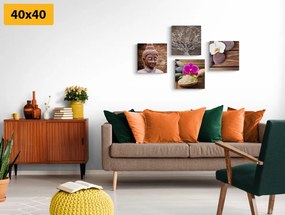 Set tablouri Feng Shui în design natural