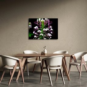 Tablou cu floare (70x50 cm)