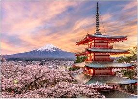 Tablou - Fuji,Japonia (70x50 cm)