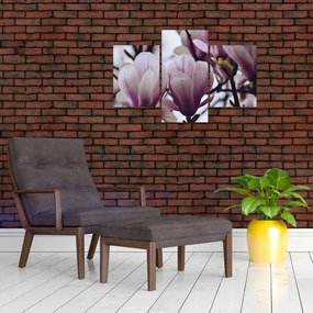 Tablou - Magnolie (90x60 cm)