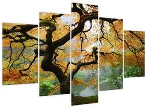 Tablou - Arțarul japonez galben, Portland, Oregon (150x105 cm)