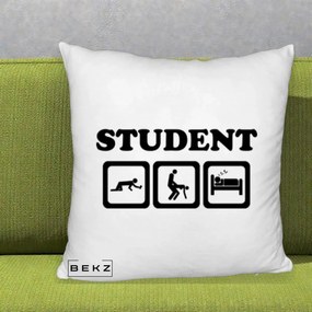 Perna Decorativa Student Life, 40x40 cm, Alb Pufos, Husa Detasabila, Perna Inclusa, BEKZ®