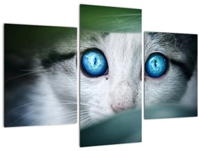 Tablou cu pisica (90x60 cm)