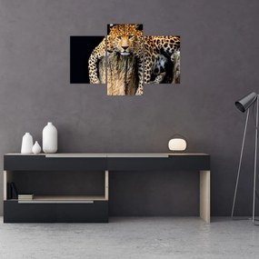 Tablou - Ghepard (90x60 cm)